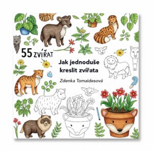 E-shop aneb konzultace nad prezentací produktu či služby